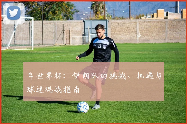 年世界杯：伊朗队的挑战、机遇与球迷观战指南